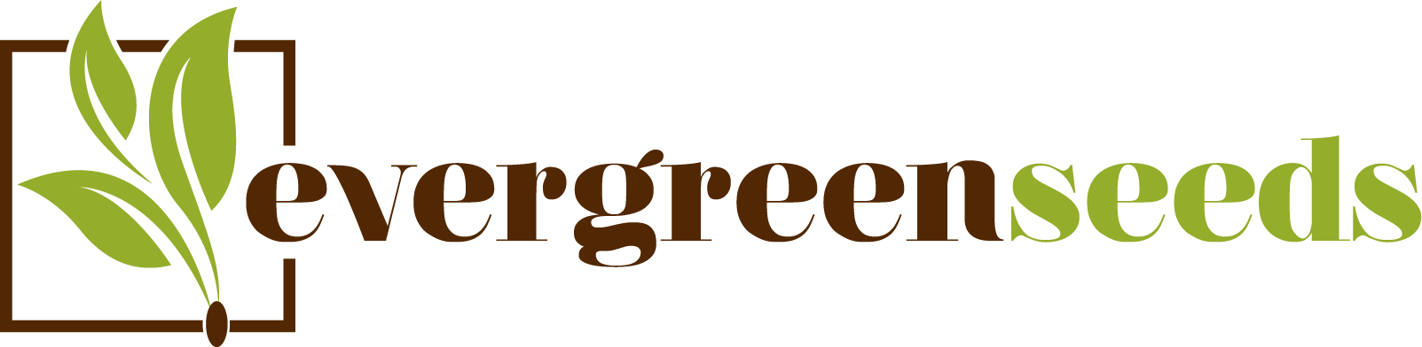 www.evergreenseeds.com