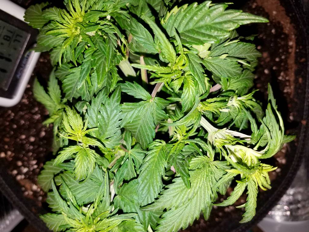 4e40708acf0198d2938c1e61ecd9f4e7.jpg