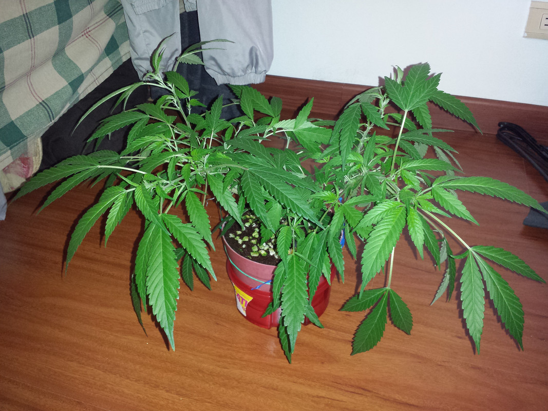 20191102-085435.jpg