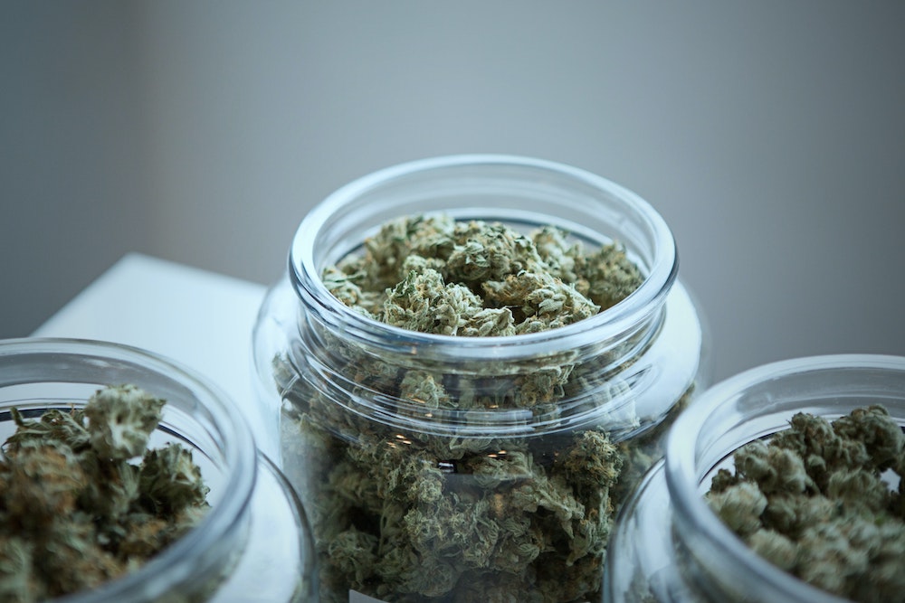 greenhealthdocs.com