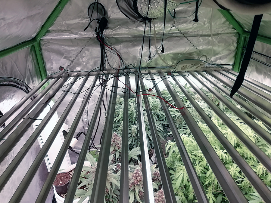 IMG-20190506-173049-Copy.jpg