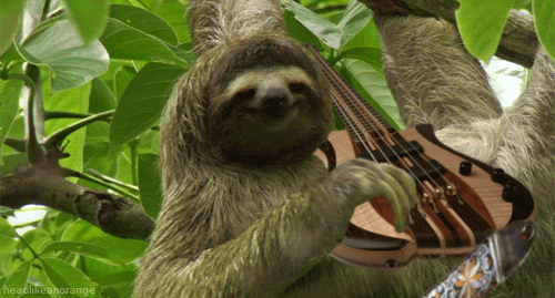 tumblr_n6iopzpXWb1s917bwo1_500.gif
