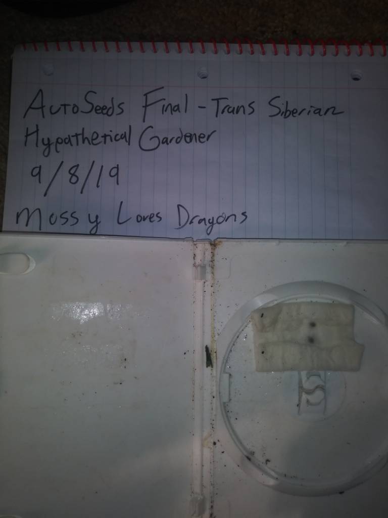 9b727335eb0820ad063adbcbd4d6d5e8.jpg