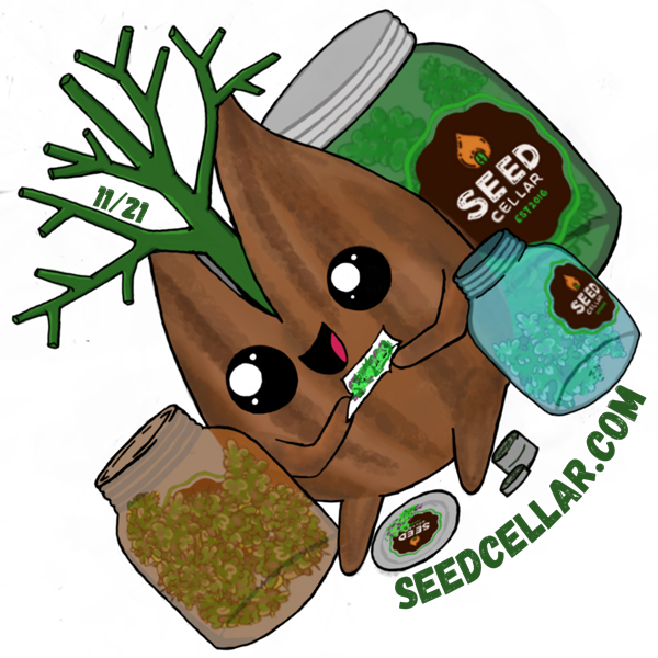 seedcellar.com