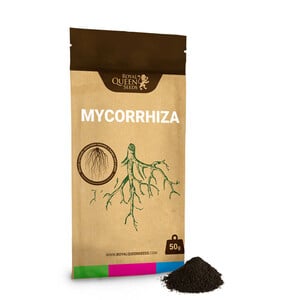 www.royalqueenseeds.com
