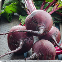 beetroot.jpg