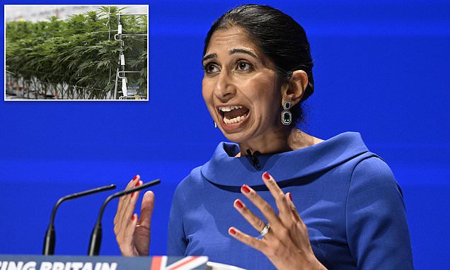 www.dailymail.co.uk