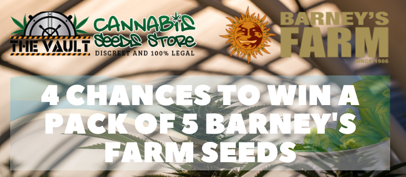 The-Vault-Cannabis-Seed-Store43.png