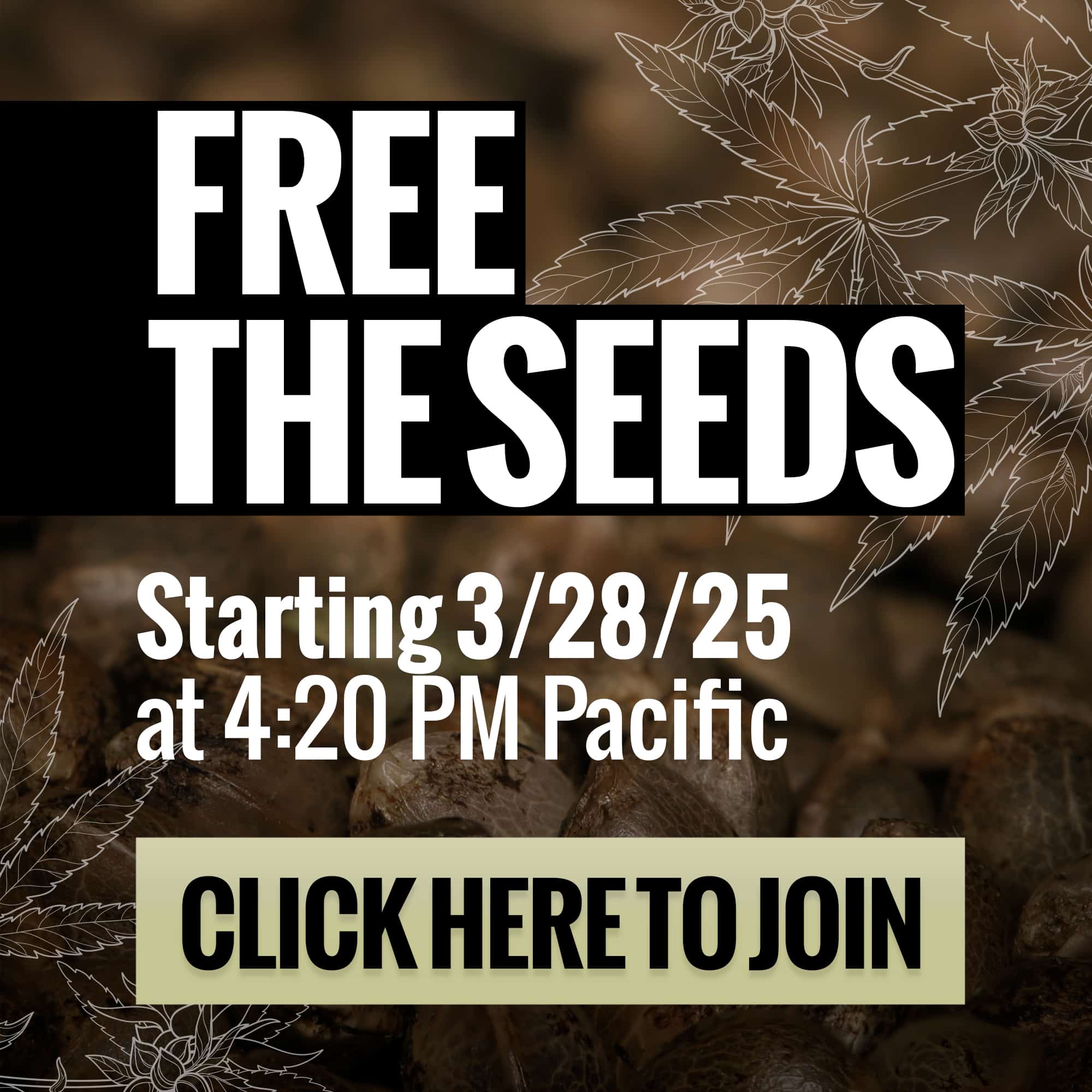 twenty20mendocino.com