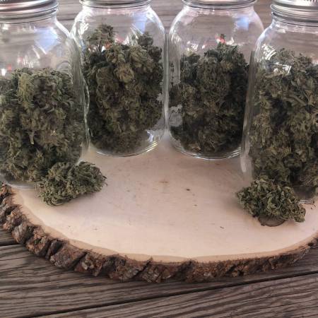 growdiaries.com