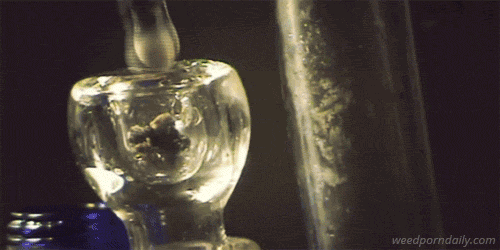 tumblr_lsg1402f2m1qjczh3o1_500.gif