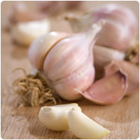 garlic.jpg