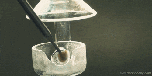 tumblr_lu0e82Heku1qjczh3o1_500.gif