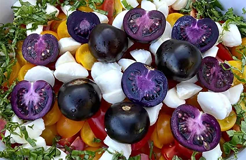 www.agdaily.com