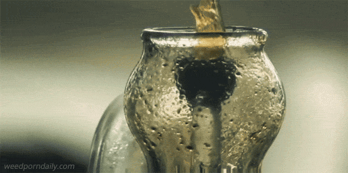 tumblr_lv6yryoDCb1qjczh3o2_500.gif