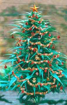 WAMM%20Christmas%20Tree!.jpg