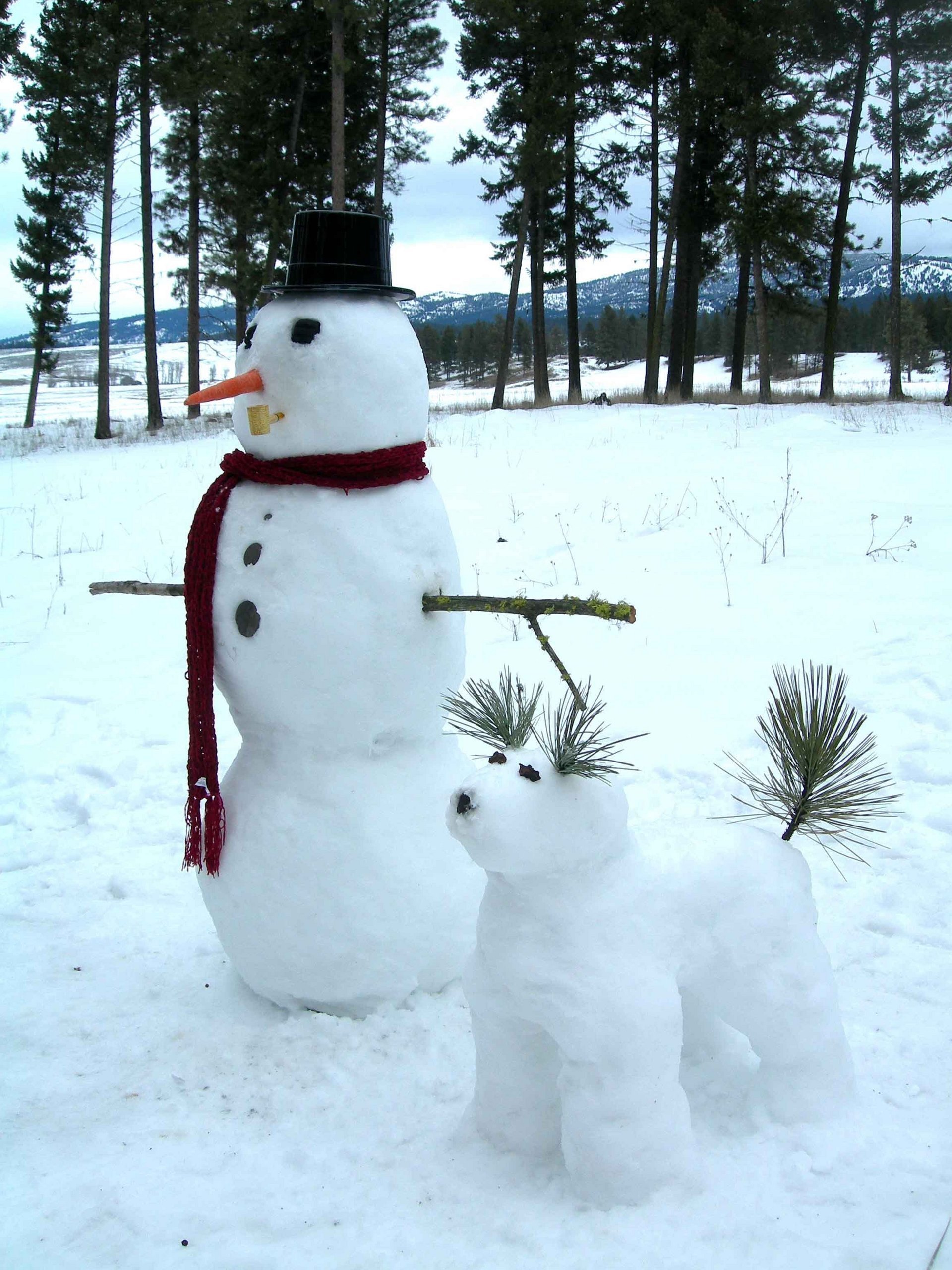 snowman-snowdog-snowmen-13384498-1920-2560.jpg