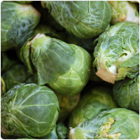 brusselssprouts.jpg