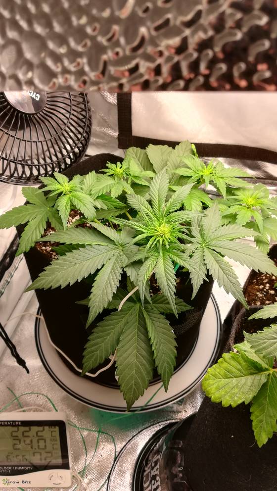 ab81666cbd127fa5ff70215e699bdc88.jpg