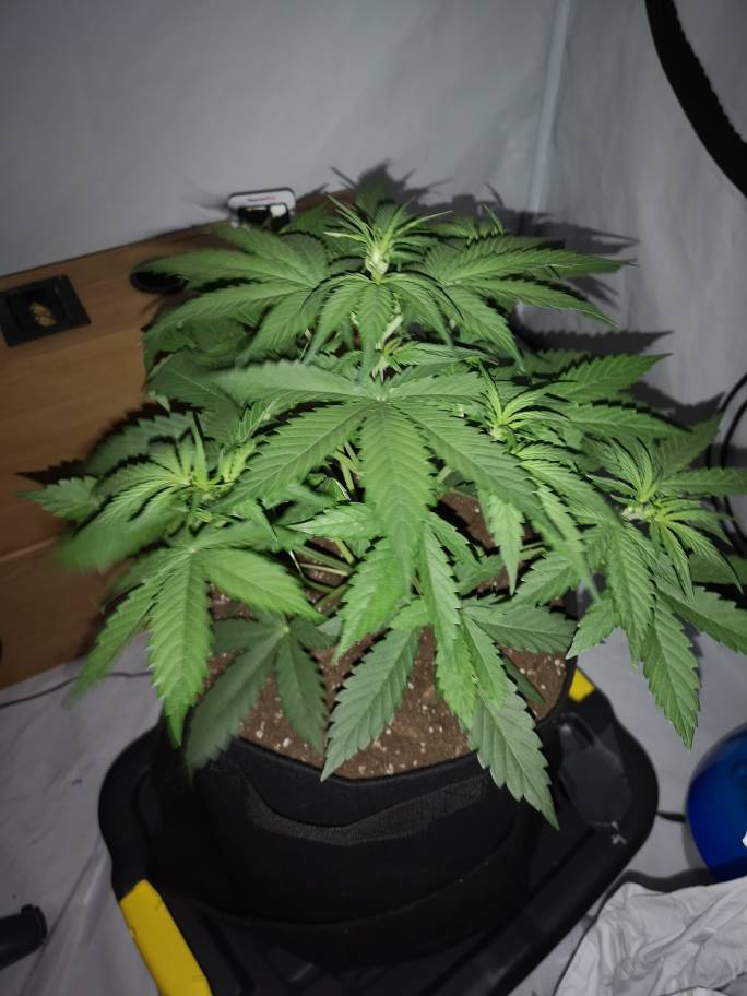 132ecb54ab372ae8ef6b154e3d6af8ca.jpg