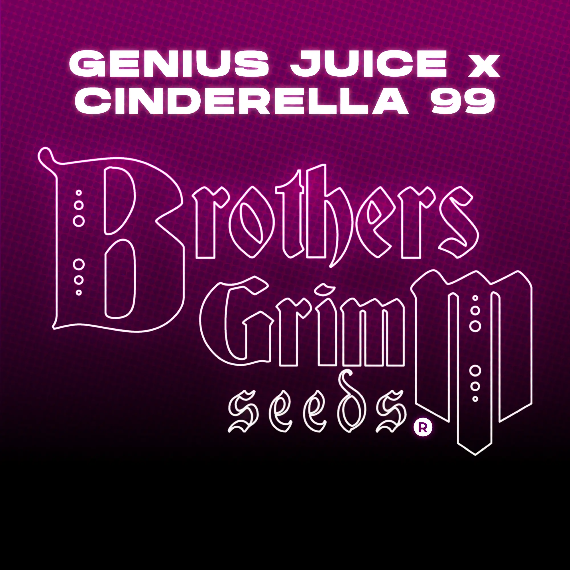brothersgrimmseeds.com