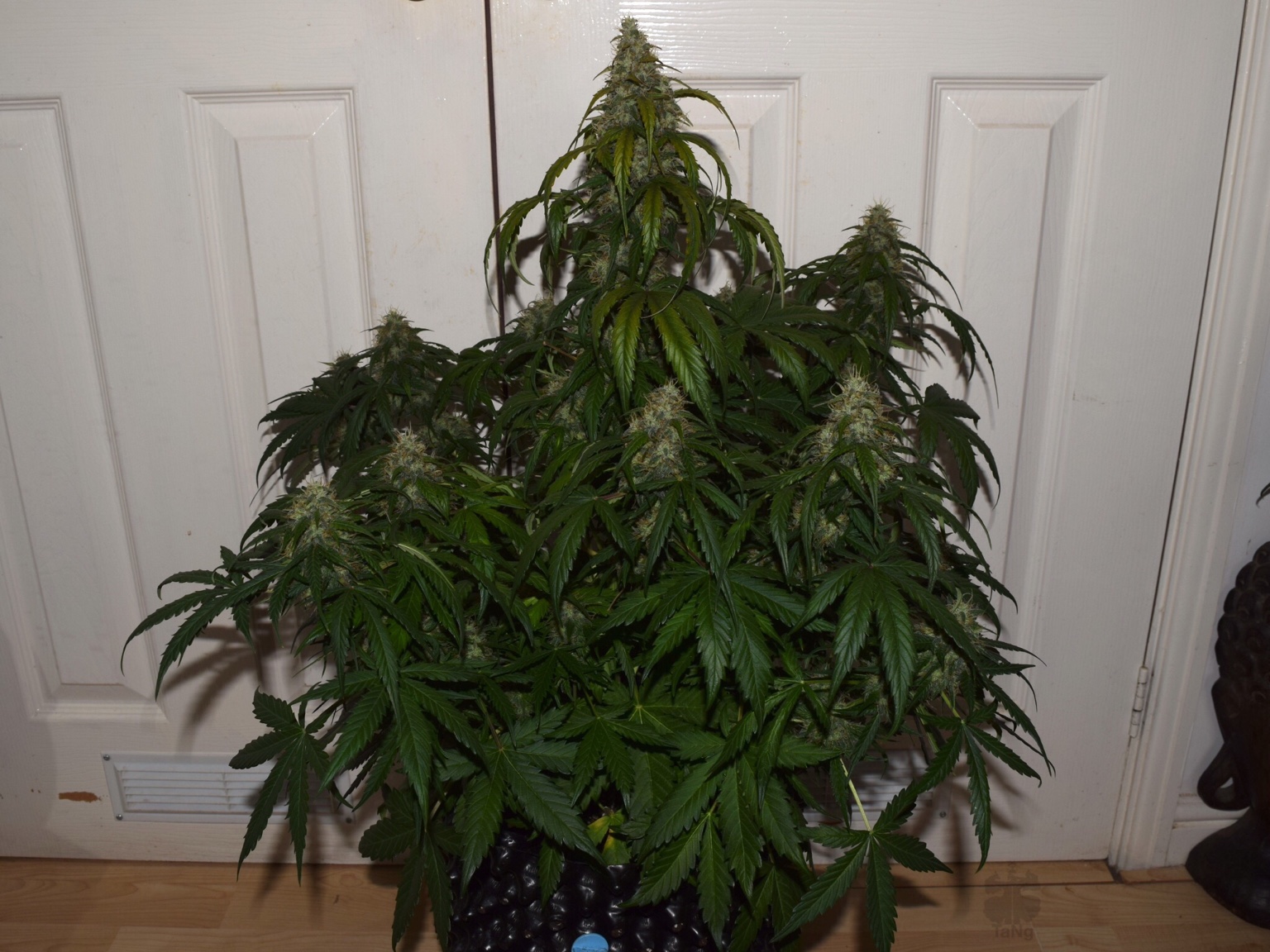f4328390db8798ab33790e368b70e7d4.jpg