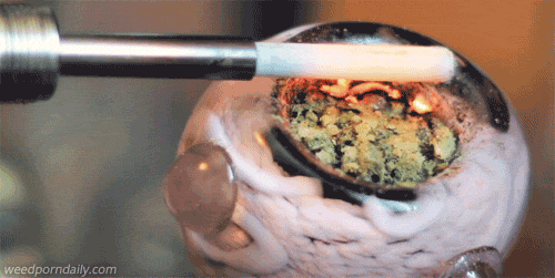 tumblr_m0aa0c10us1qjczh3o1_500.gif