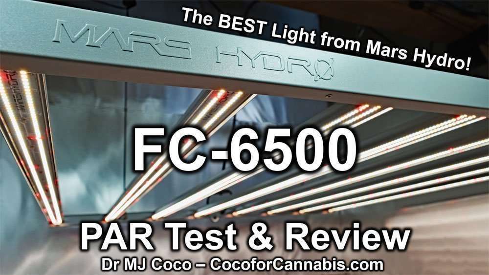 www.cocoforcannabis.com