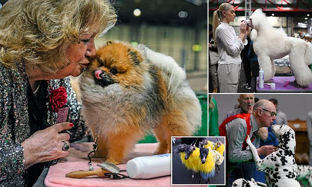 www.dailymail.co.uk