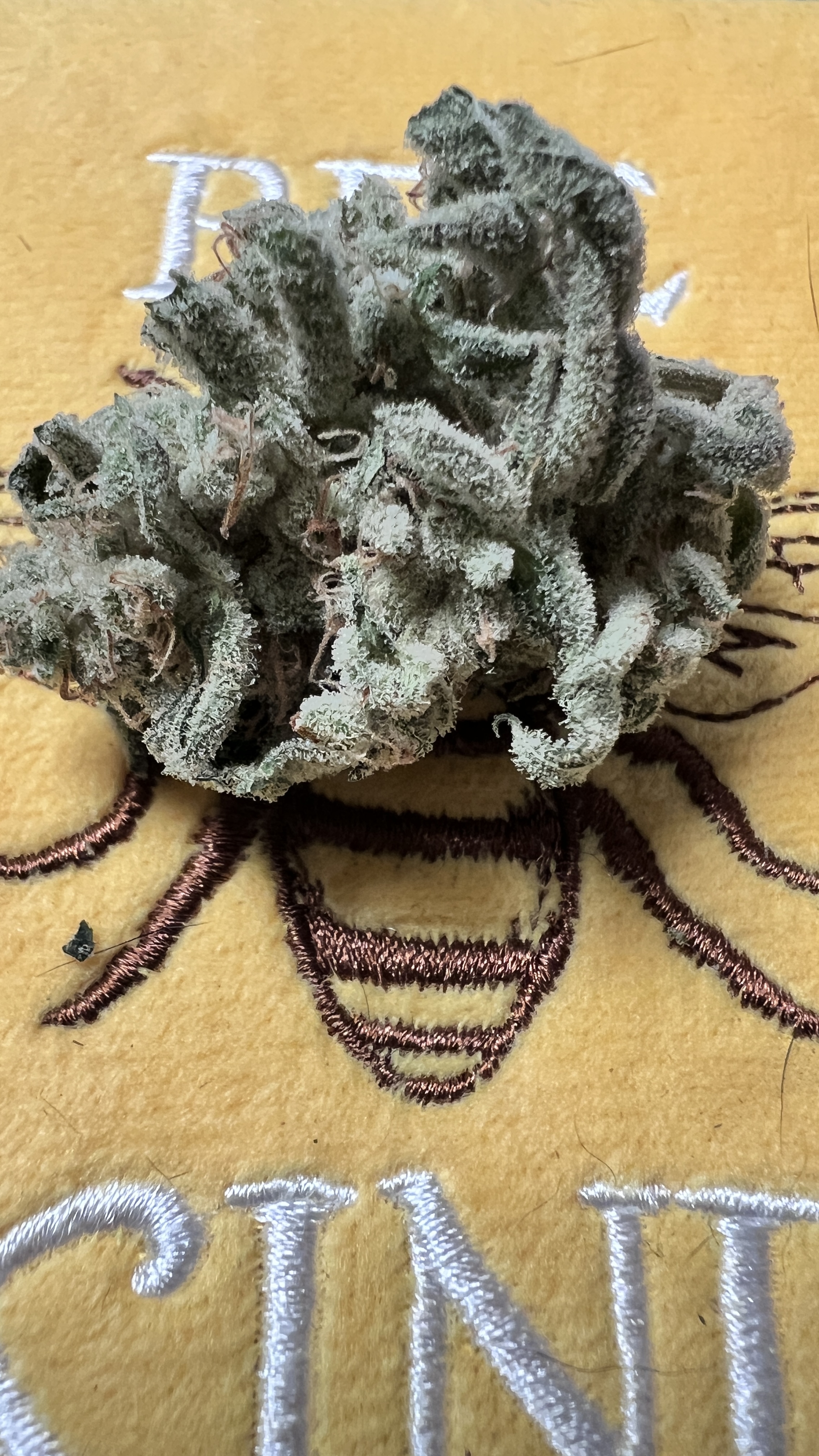 neptuneseedbank.com