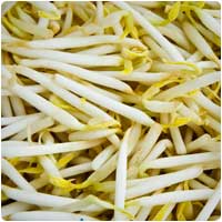 sprouts.jpg