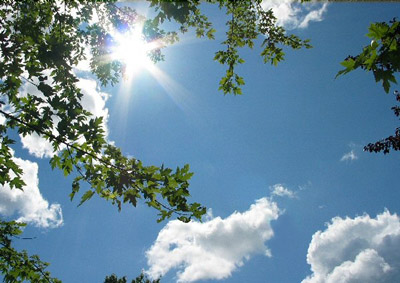 22557060_BG1.jpg