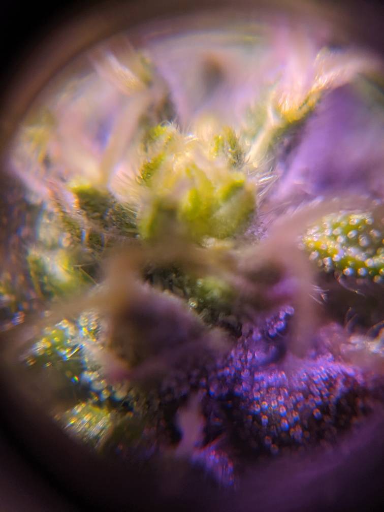 5f5cc1c232234bde6ef3cbd2131458e0.jpg