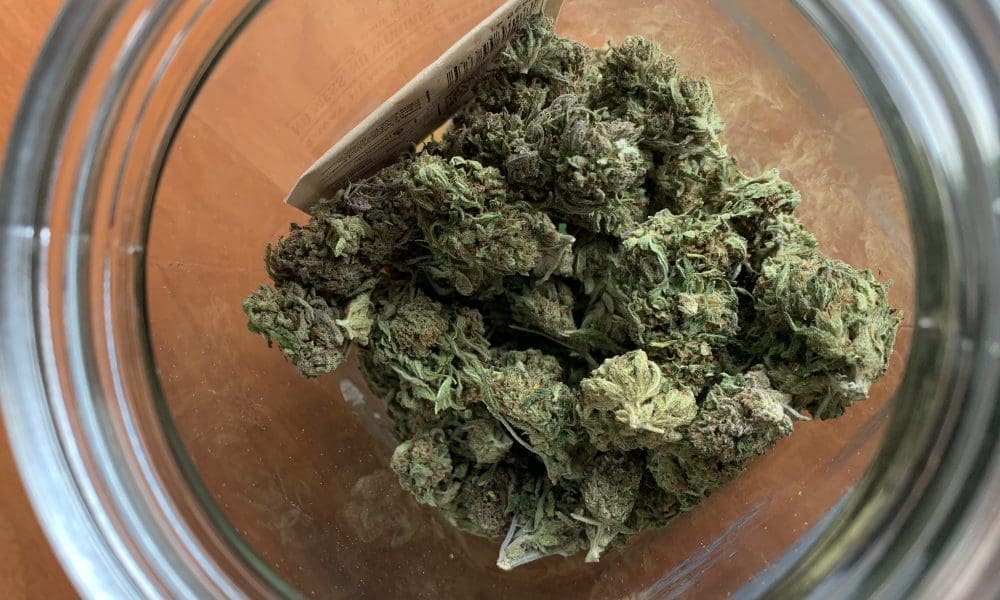 www.marijuanamoment.net