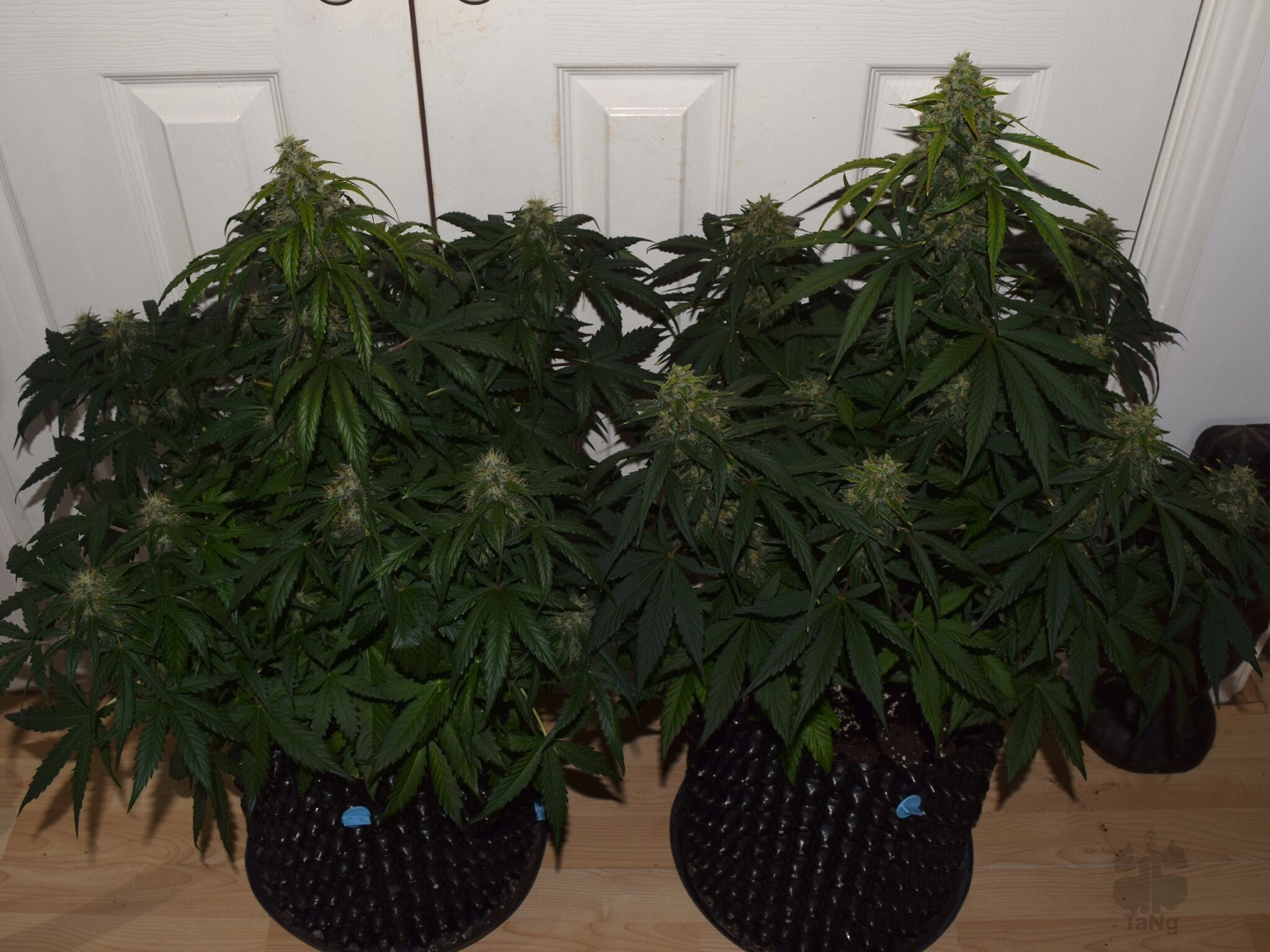 f406fdf85f4dbcaf8330baf6cfb1bb23.jpg