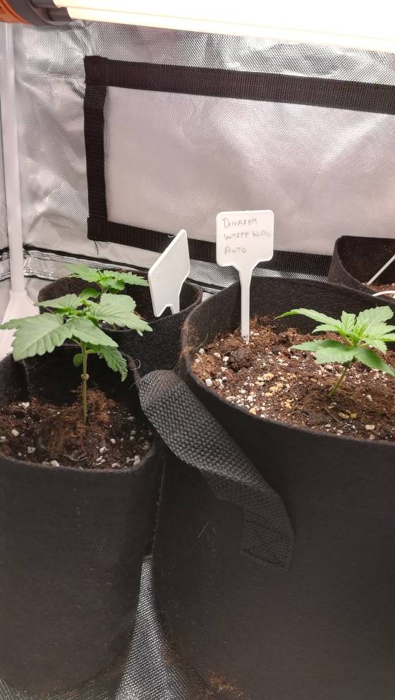 748cbd4e15e0dd2d9f811f0028281845.jpg
