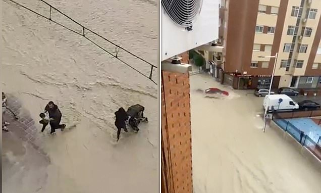 www.dailymail.co.uk