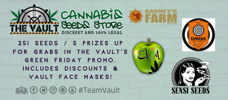 The-Vault-Cannabis-Seed-Store3.png