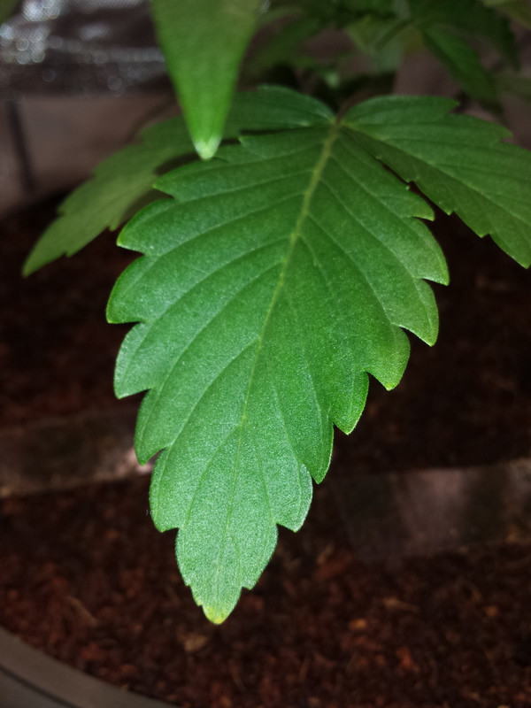 20190710-182408.jpg