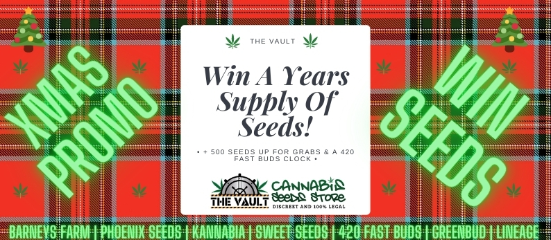 Vault-Cannabis-Xmas-Premier.jpg