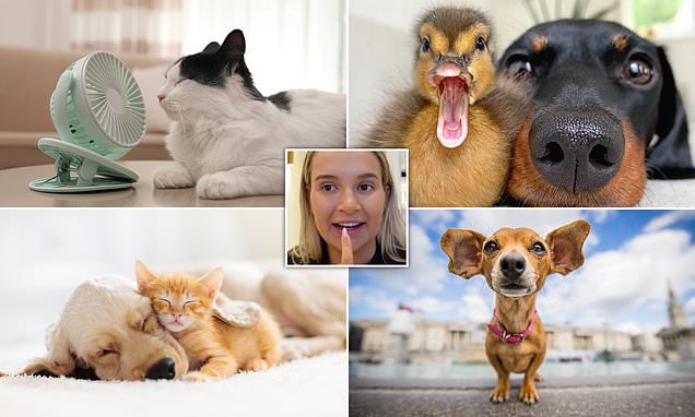 www.dailymail.co.uk