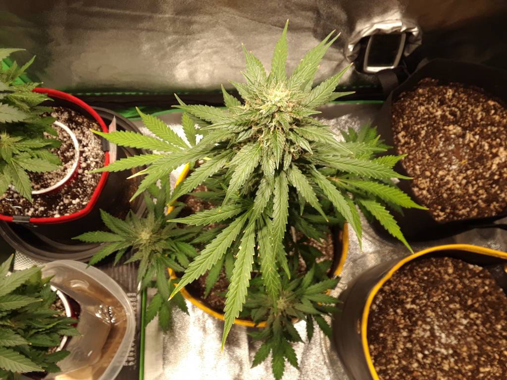 e143efd30ade19cc44aeac7c9c0bbb6e.jpg