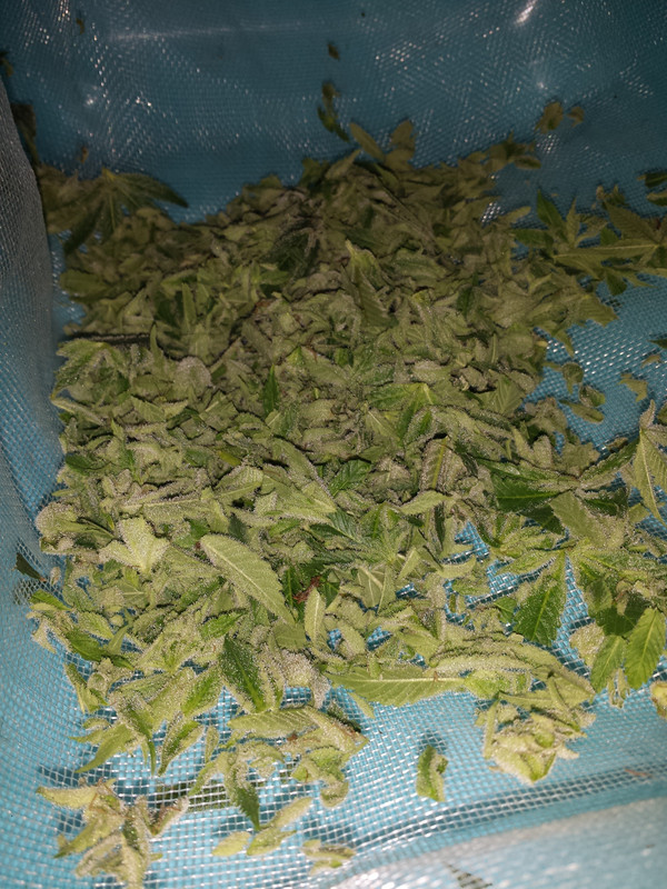 20191117-210147.jpg