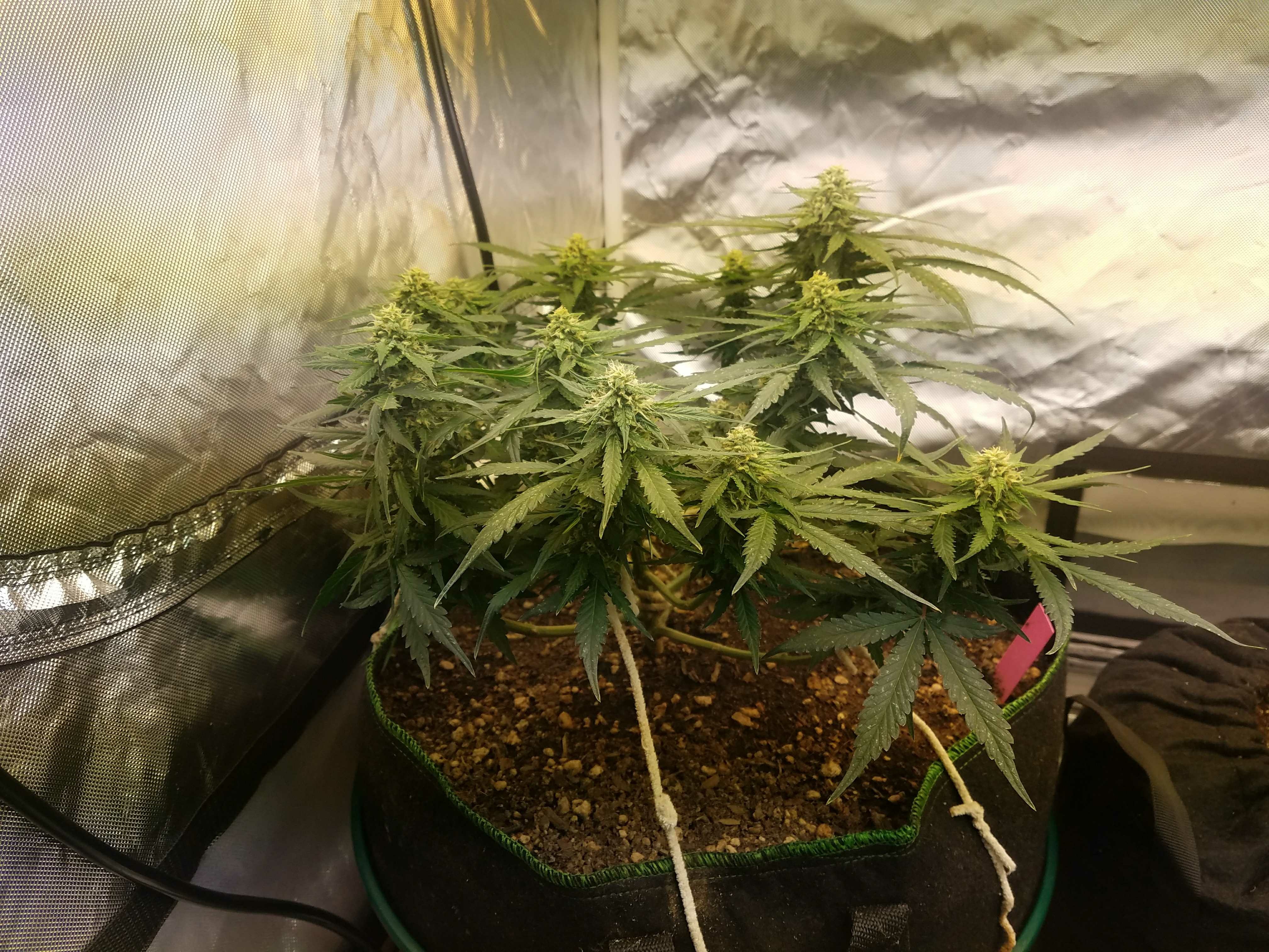 073c915e70cbd083d2ff535a821dc102.jpg