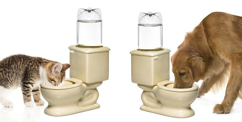 toilet-dog-cat-water-bowl-xl.jpg