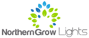 northerngrowlights_logo_2.png