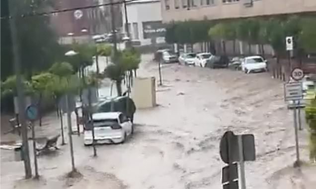 www.dailymail.co.uk