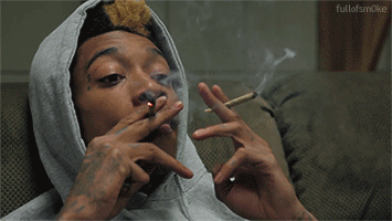 tumblr_o4izdaPmXy1u7xw1bo1_400.gif