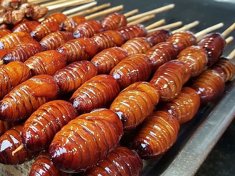 sago-worms-1.jpg