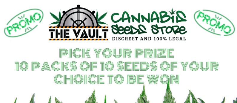 The-Vault-Cannabis-Seed-Store-8.png